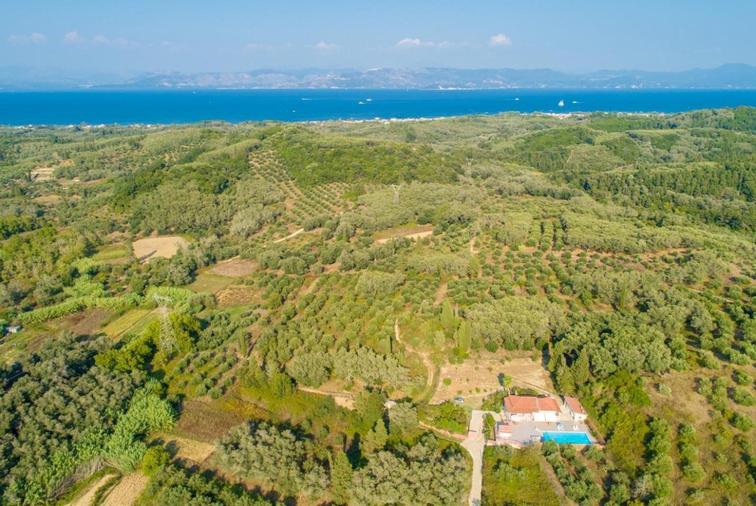 Villa Psaropouli Dragotina Bagian luar foto